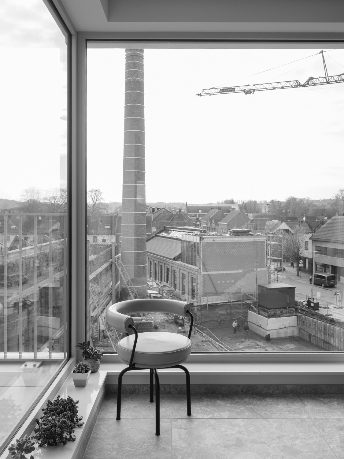 STOOM