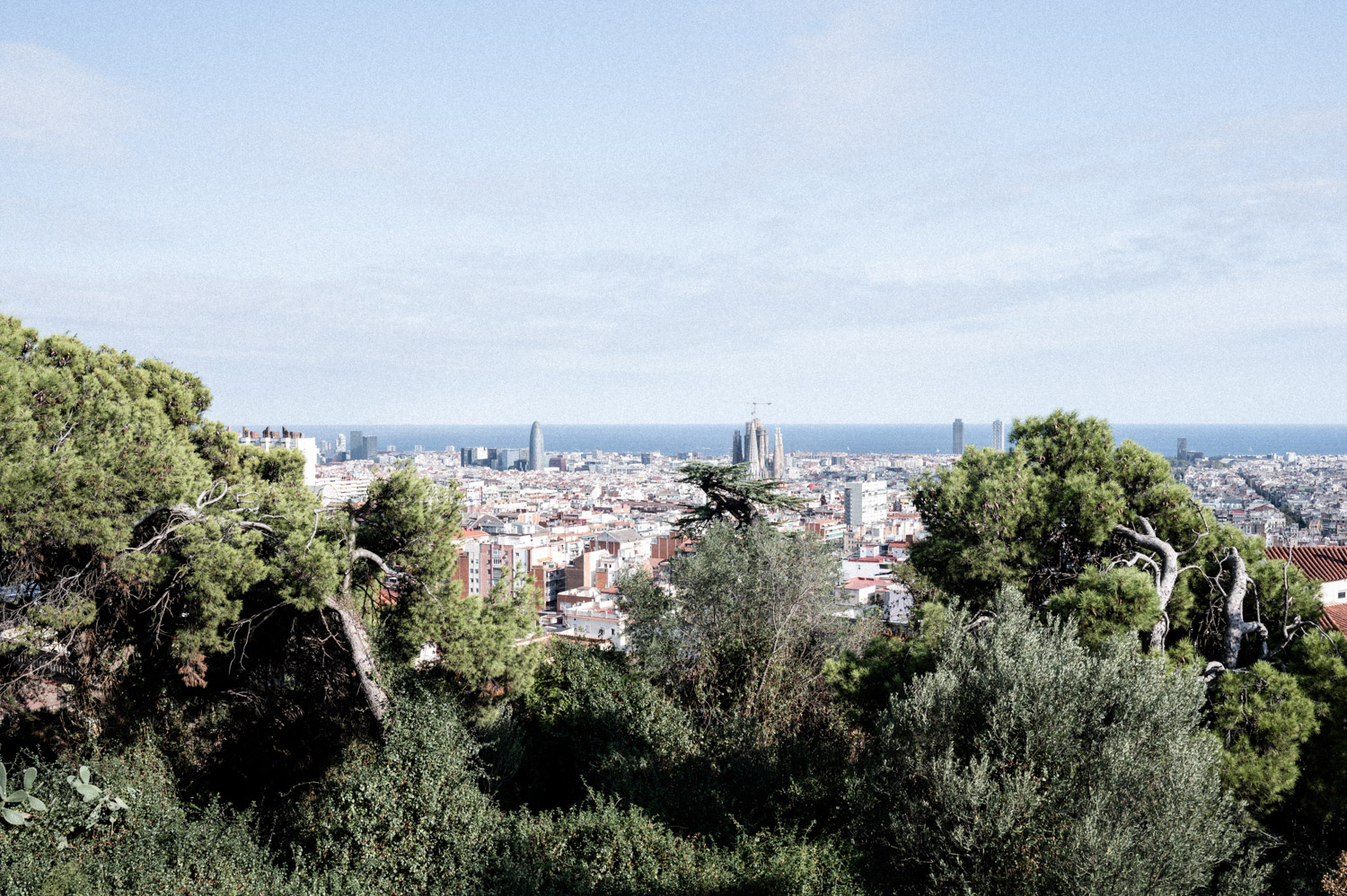 Barcelona 7
