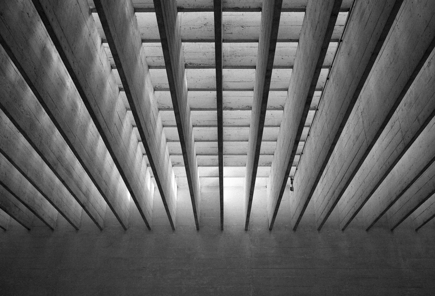 La Biennale 2021 - 18