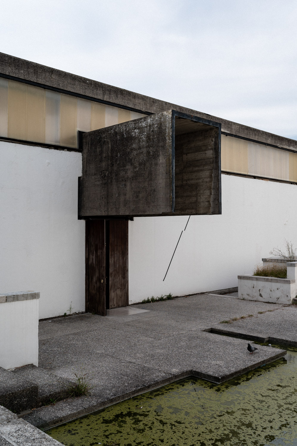 La Biennale 2021 - 7