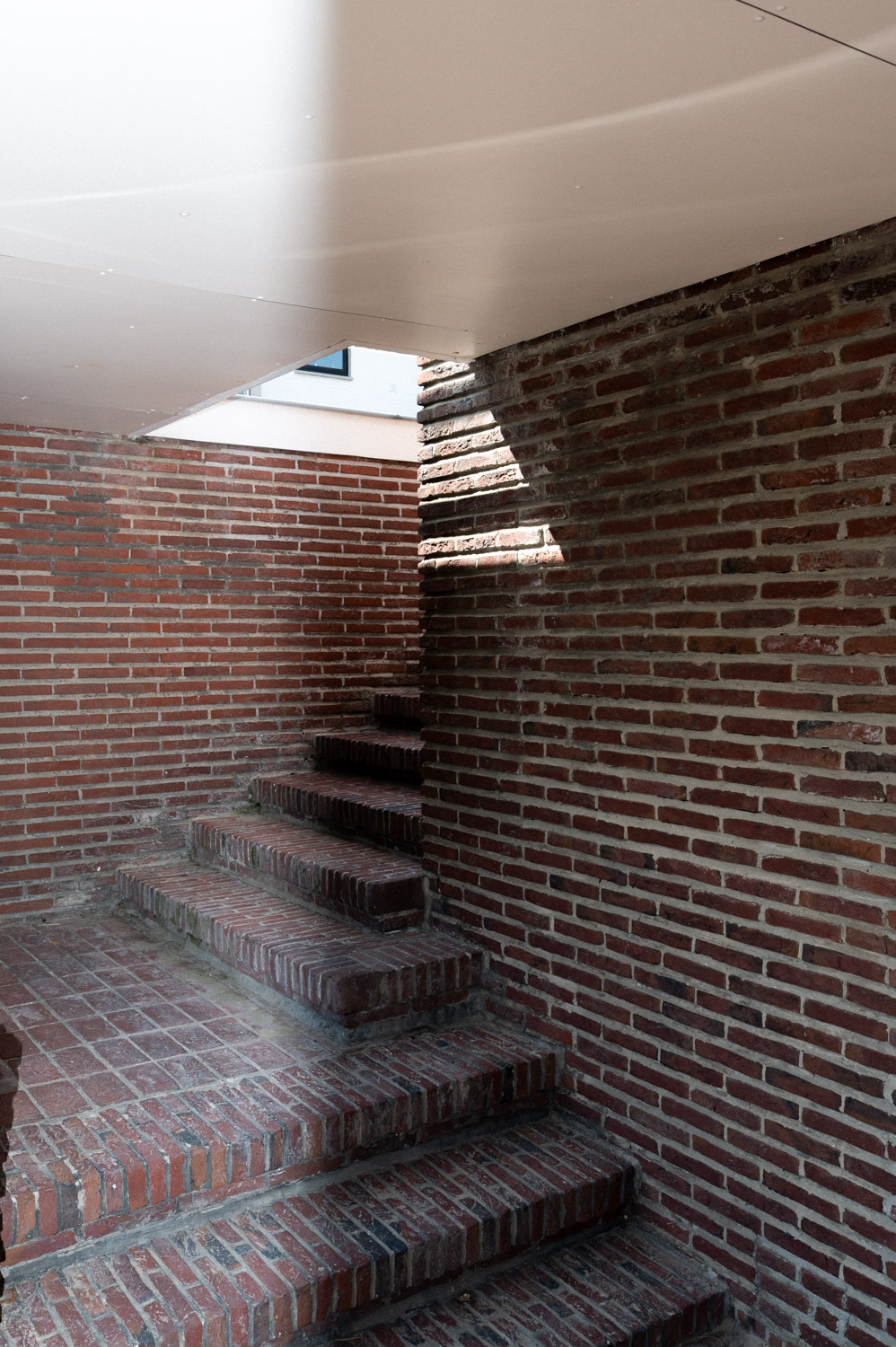 Saverys x Maniera - 3