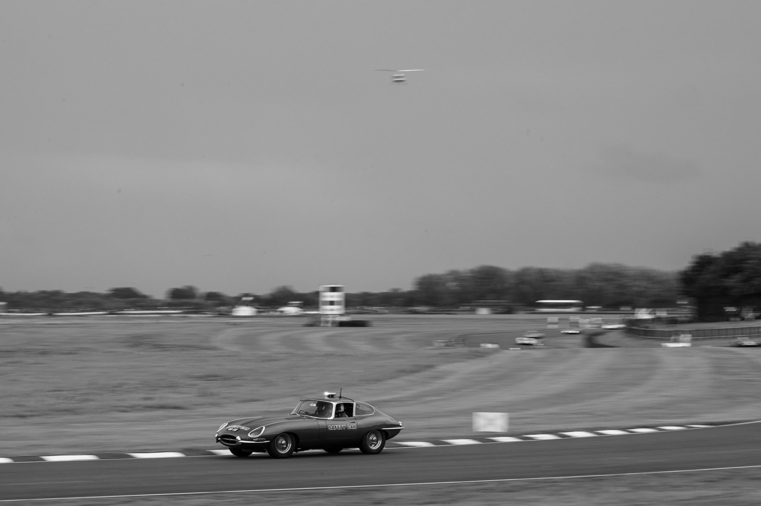 Goodwood Revival 2025 - 14