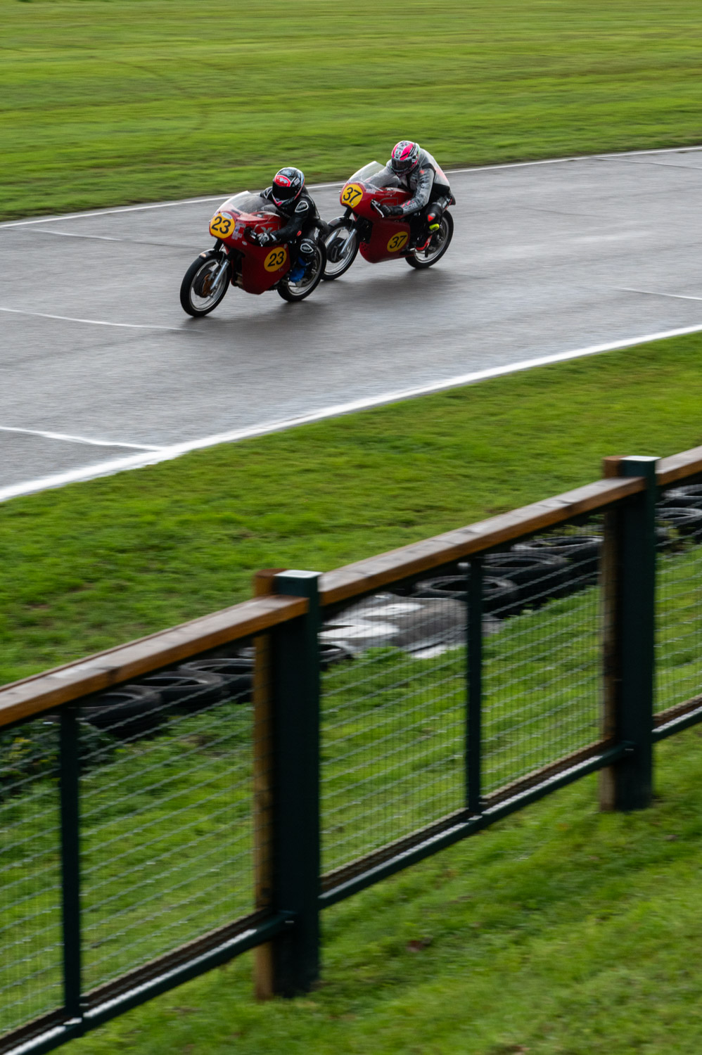 Goodwood Revival 2025 - 15